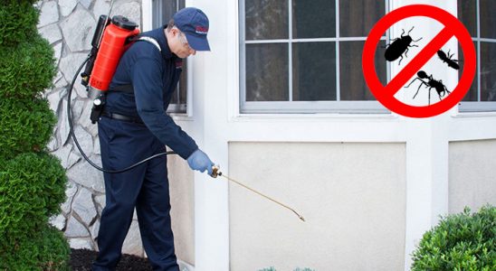Bursa Fare İlaçlama böcek ilaçlama ve haşere kontrolü — ilaclama-tr.com